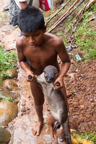 20101203_130933 D3.jpg - Youngster playing with a water animal